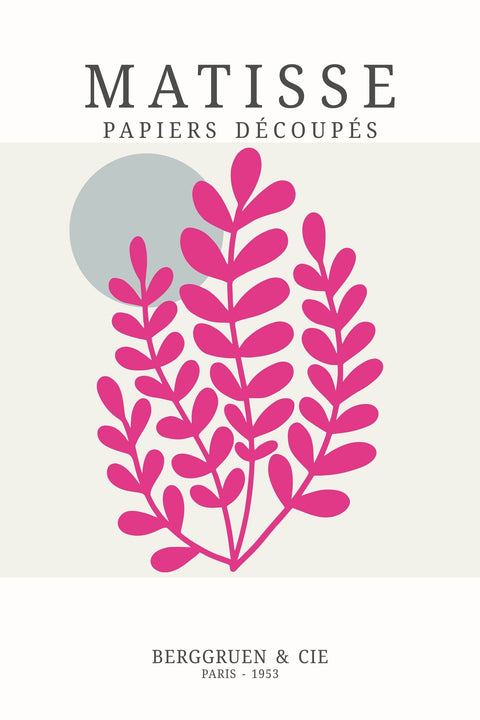 the cover of the book matissee papers decoques