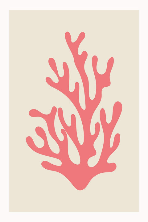 a pink coral on a cream background