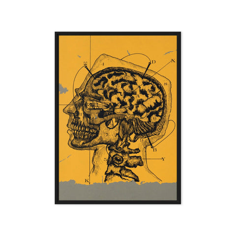 "Brain waves" Framed canvas