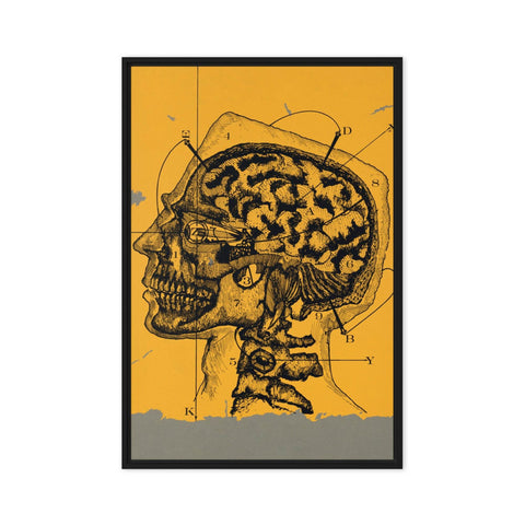 "Brain waves" Framed canvas