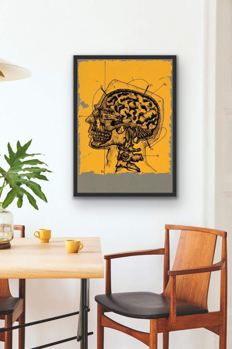Framed canvas featuring anatomical illustration of a human skull and brain, perfect for science or medicine enthusiasts.