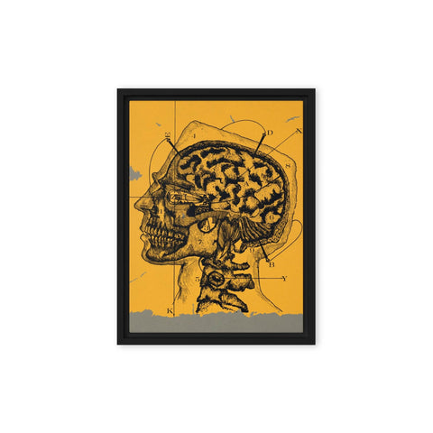 "Brain waves" Framed canvas