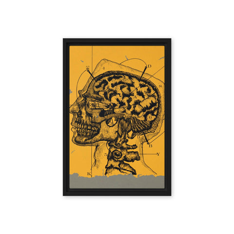 "Brain waves" Framed canvas