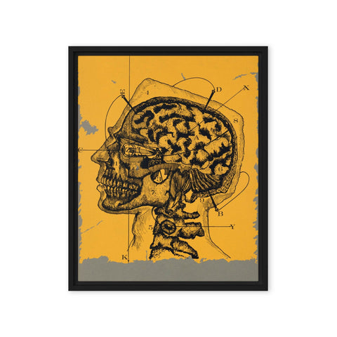 "Brain waves" Framed canvas