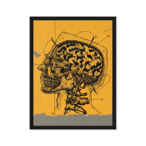 "Brain waves" Framed canvas