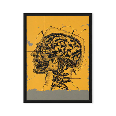 "Brain waves" Framed canvas