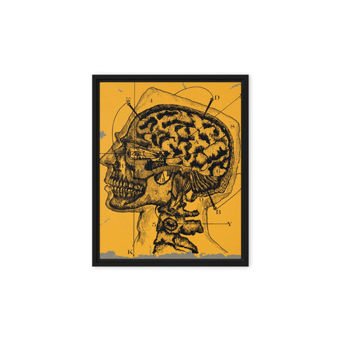 "Brain waves" Framed canvas